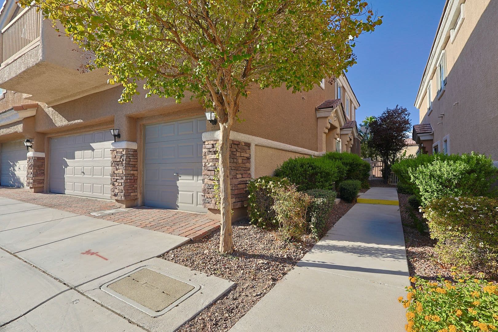Las Vegas House: 9068 Bushy Tail Ave #101
