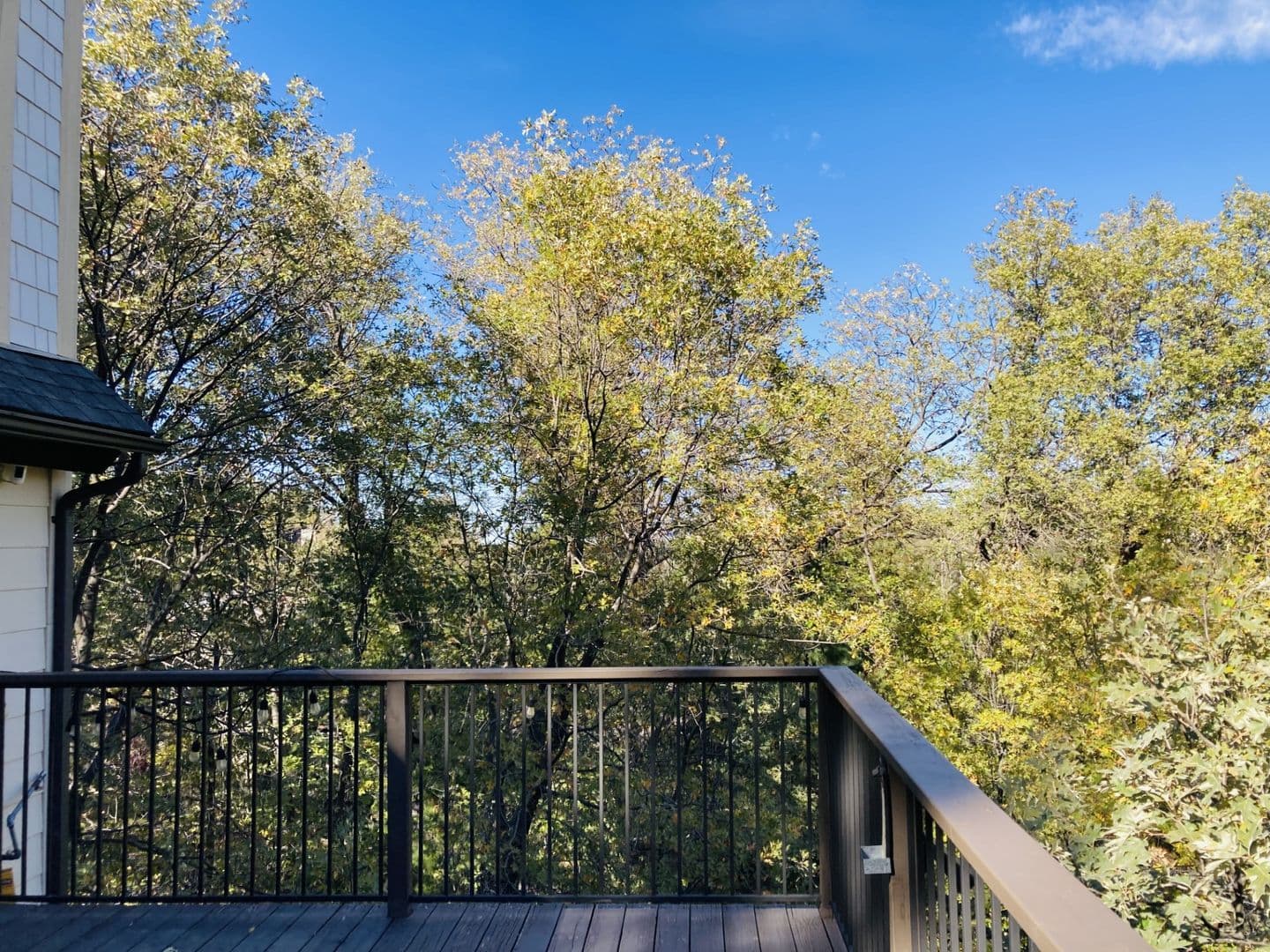Lake Arrowhead House: 28288 Bern Dr