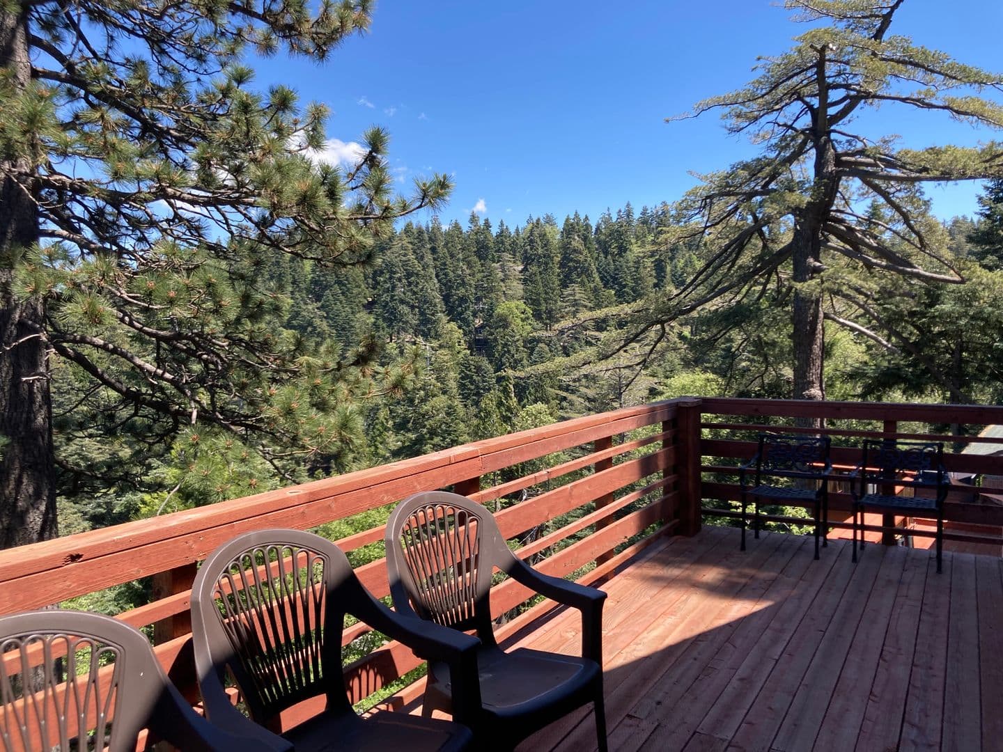 Lake Arrowhead House: 641 Virginia Ct