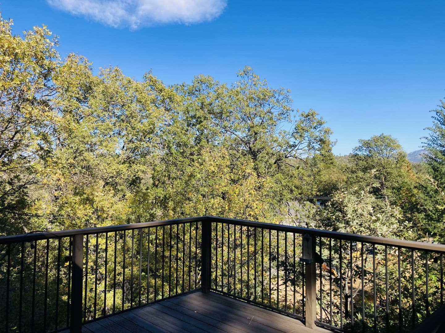 Lake Arrowhead House: 28288 Bern Dr