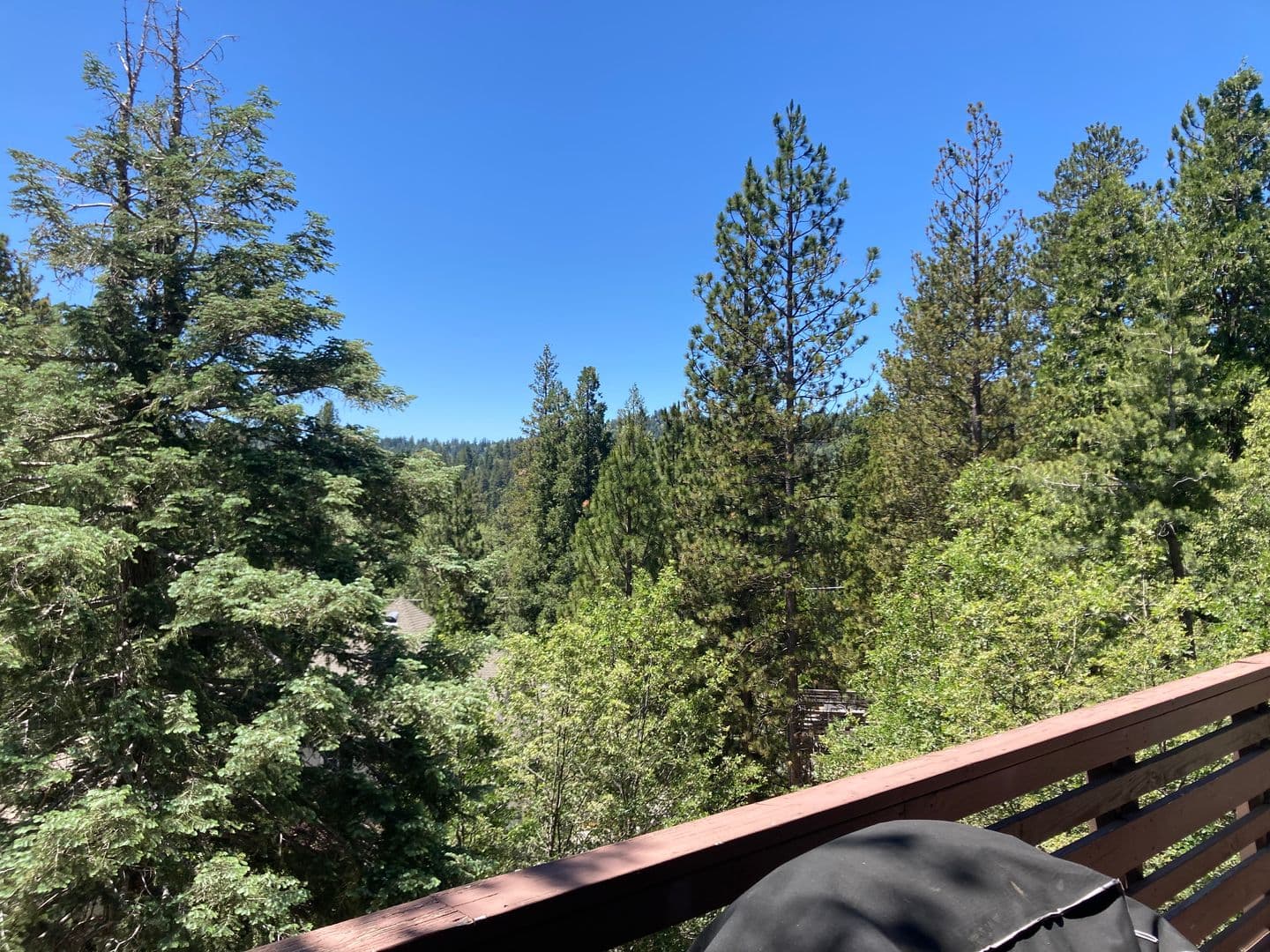 Lake Arrowhead House: 676 Grass Valley Rd