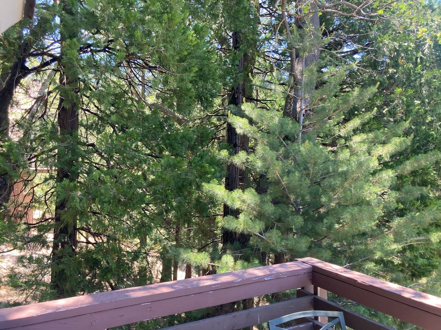 Lake Arrowhead House: 676 Grass Valley Rd