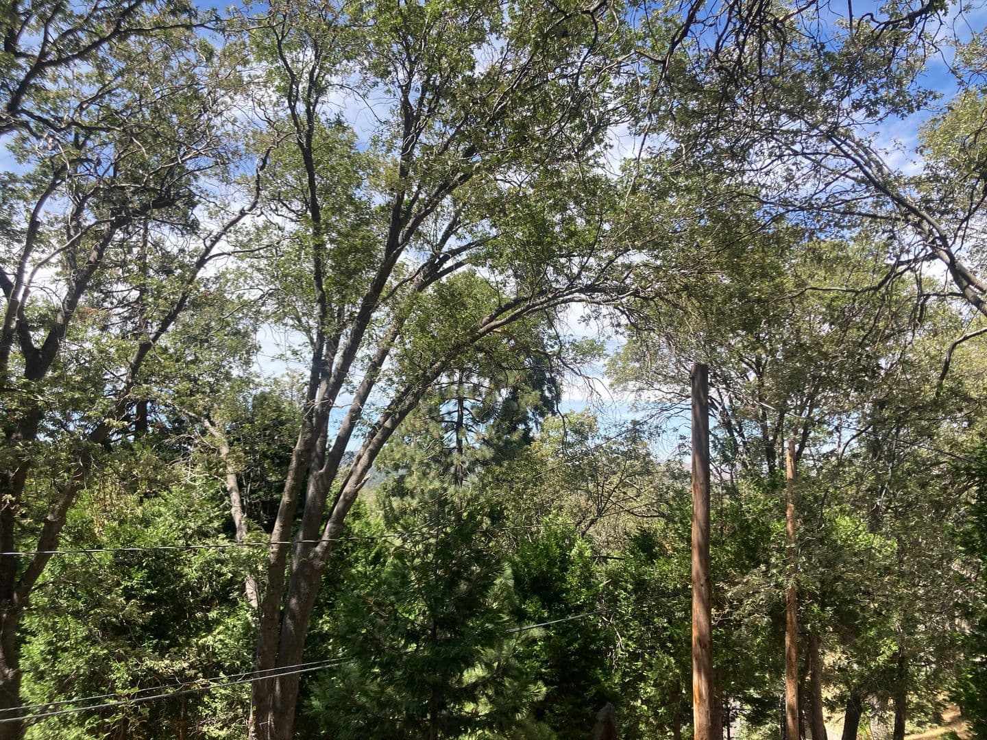 Cedar Glen House: 143 Western Dr