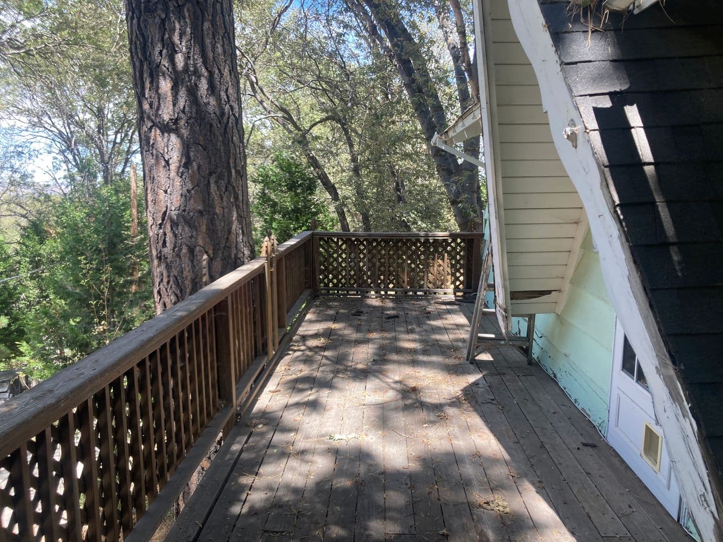 Cedar Glen House: 143 Western Dr