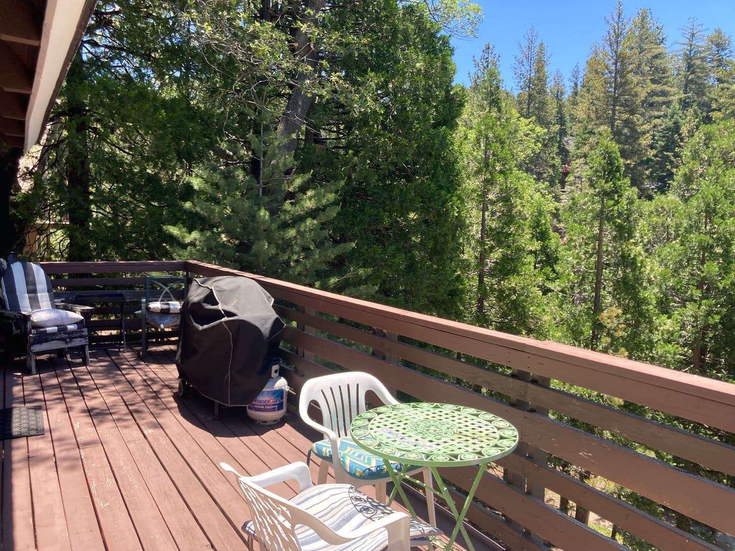 Lake Arrowhead House: 676 Grass Valley Rd