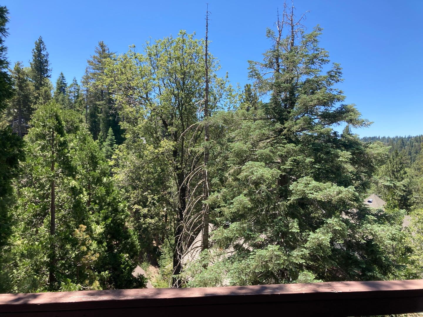Lake Arrowhead House: 676 Grass Valley Rd