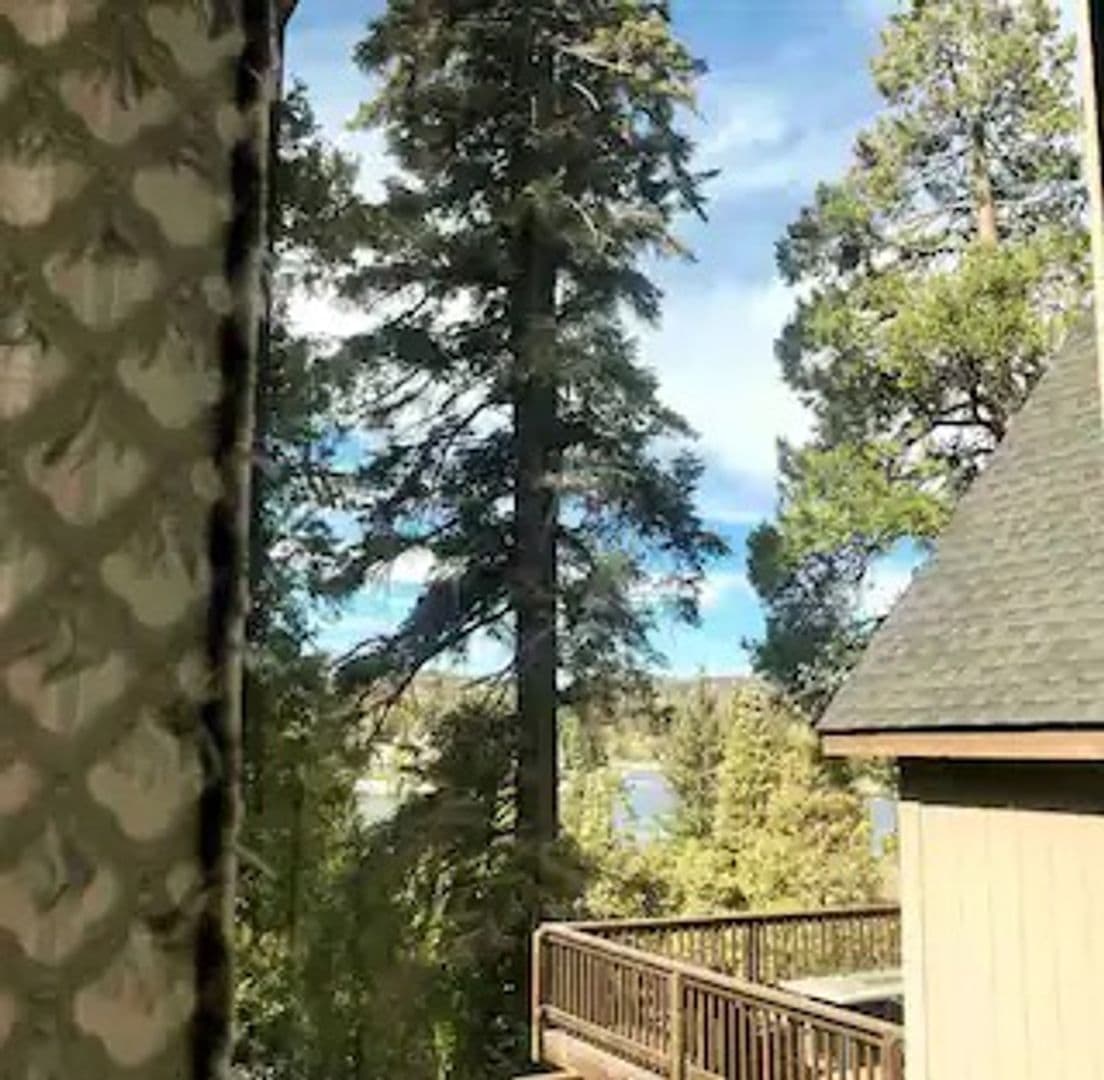 Lake Arrowhead House: 27957 Lakes Edge Rd