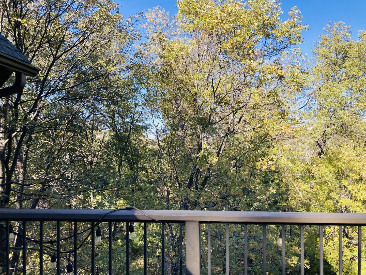 Lake Arrowhead House: 28288 Bern Dr