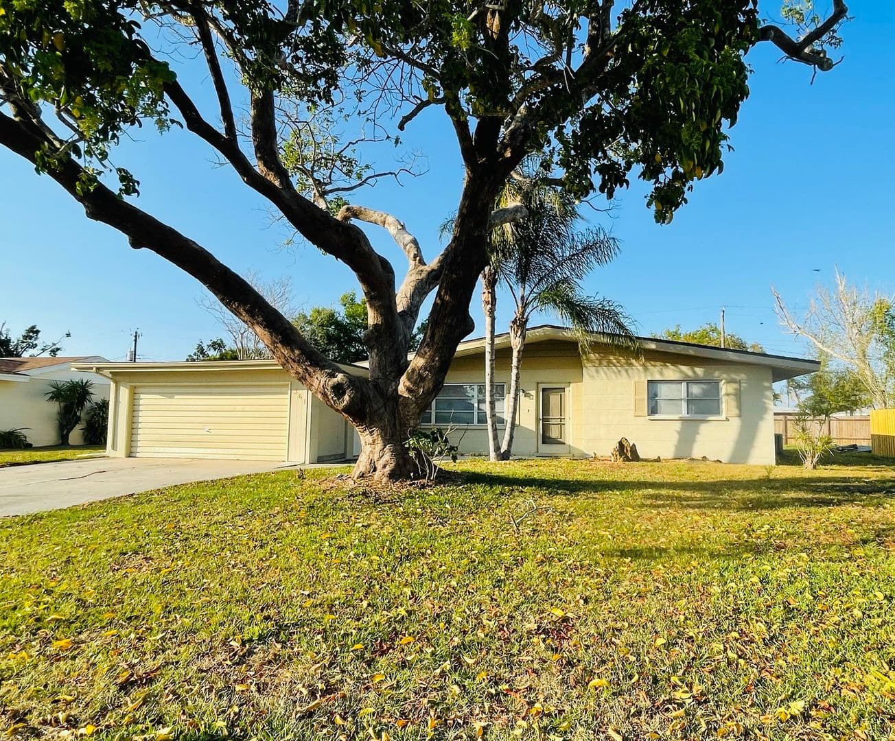 Venice House: 361 Sea Grape Road