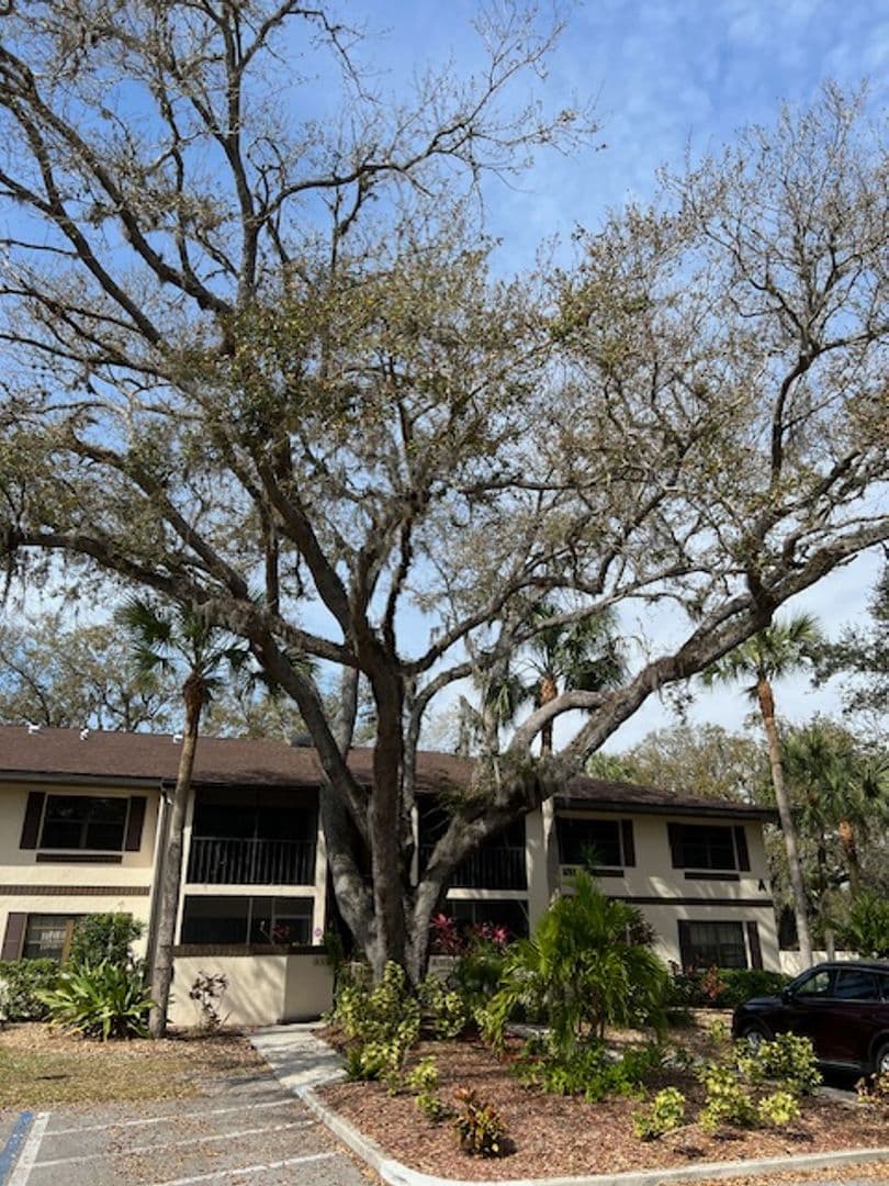 Port Charlotte Condo: 19505 Quesada Avenue #A203