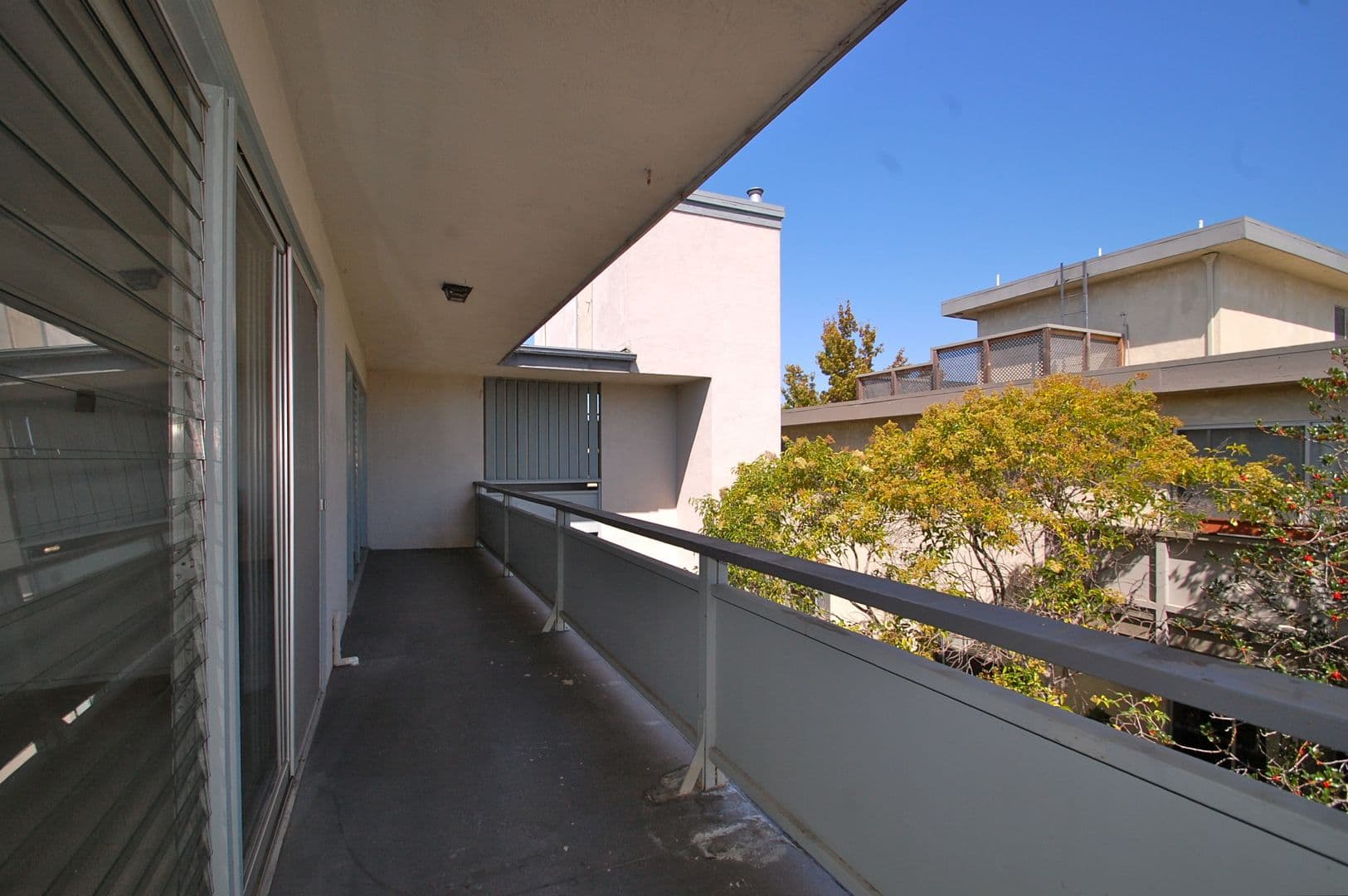Oakland Apartment: 740 Oakland Avenue