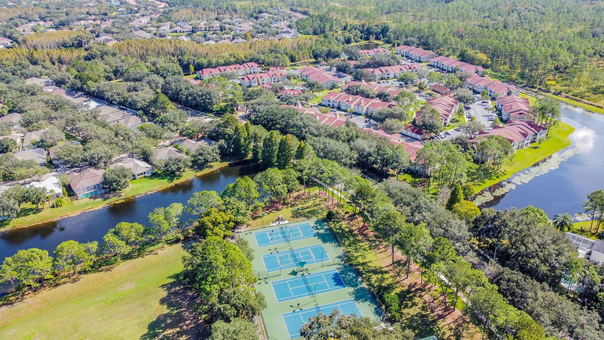 Tampa Condo: 9481 Highland Oak Dr.