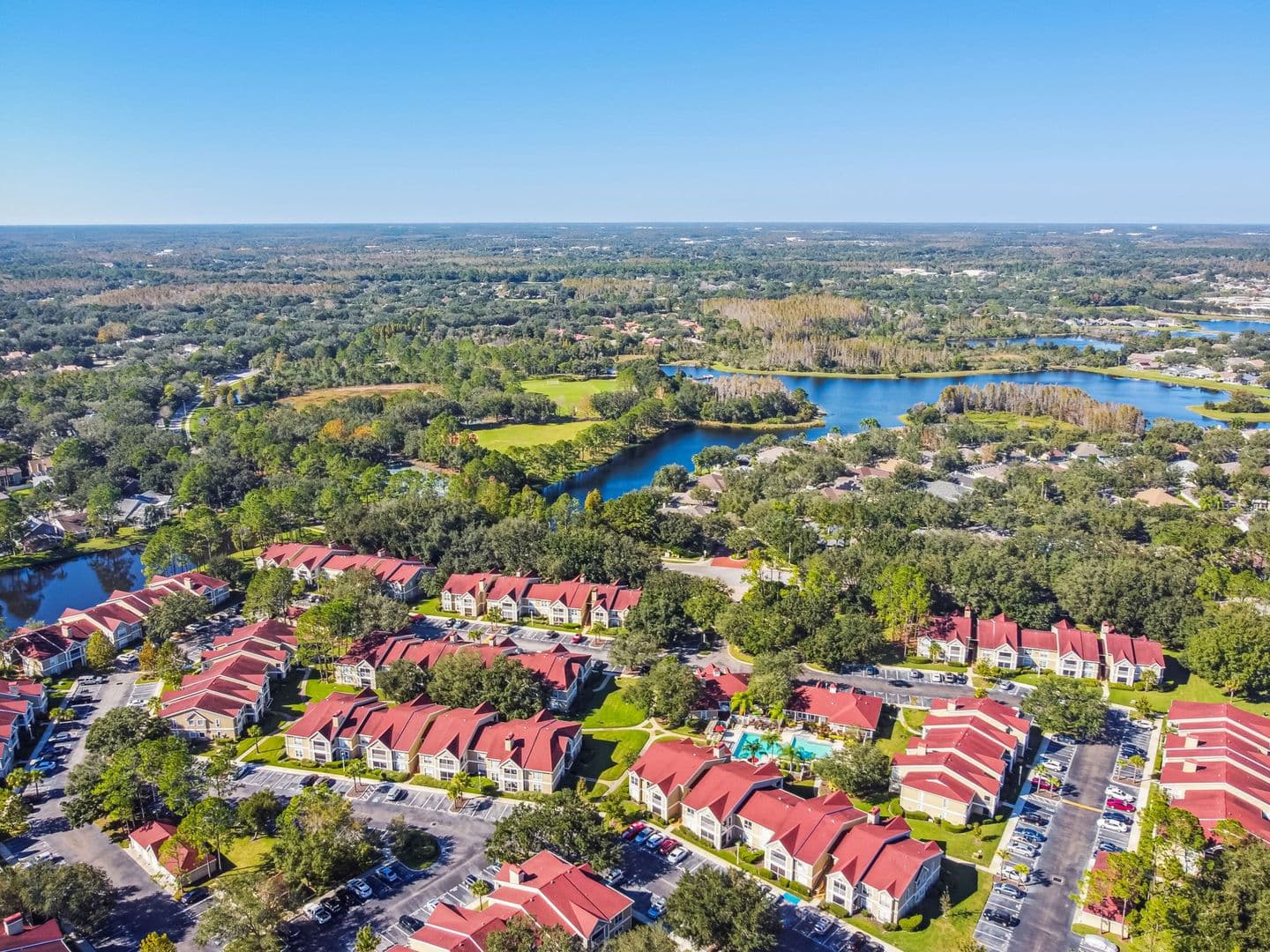 Tampa Condo: 9481 Highland Oak Dr.