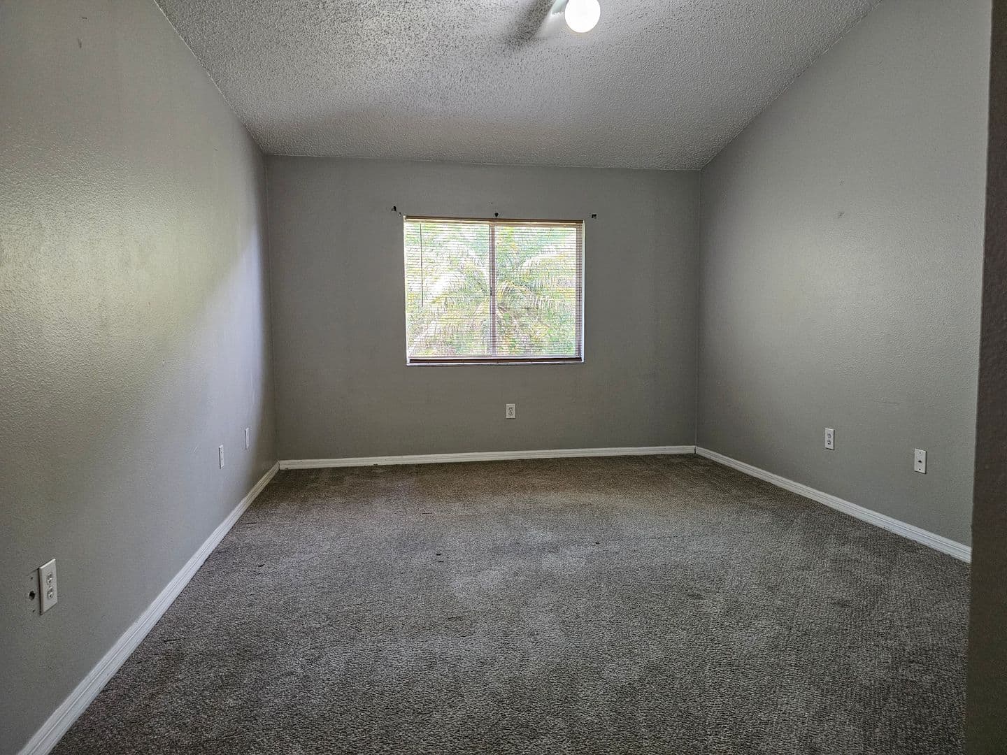 Wesley Chapel House: 30911 Midtown Court