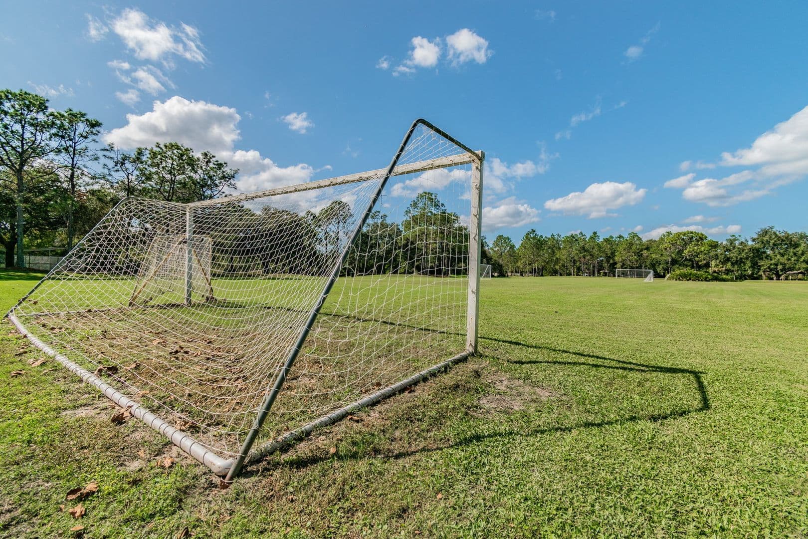 Tampa Condo: 9481 Highland Oak Dr.