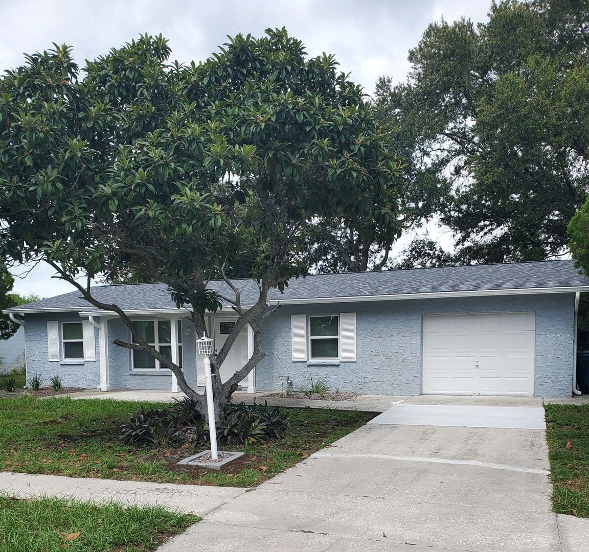 Spring Hill House: 4217 Drummond Avenue