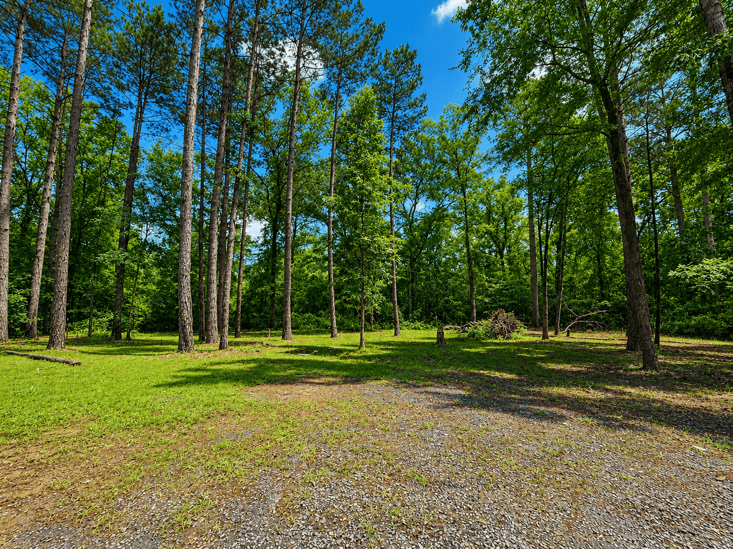 Stonewall House: 631 Adalynn PVT Lane