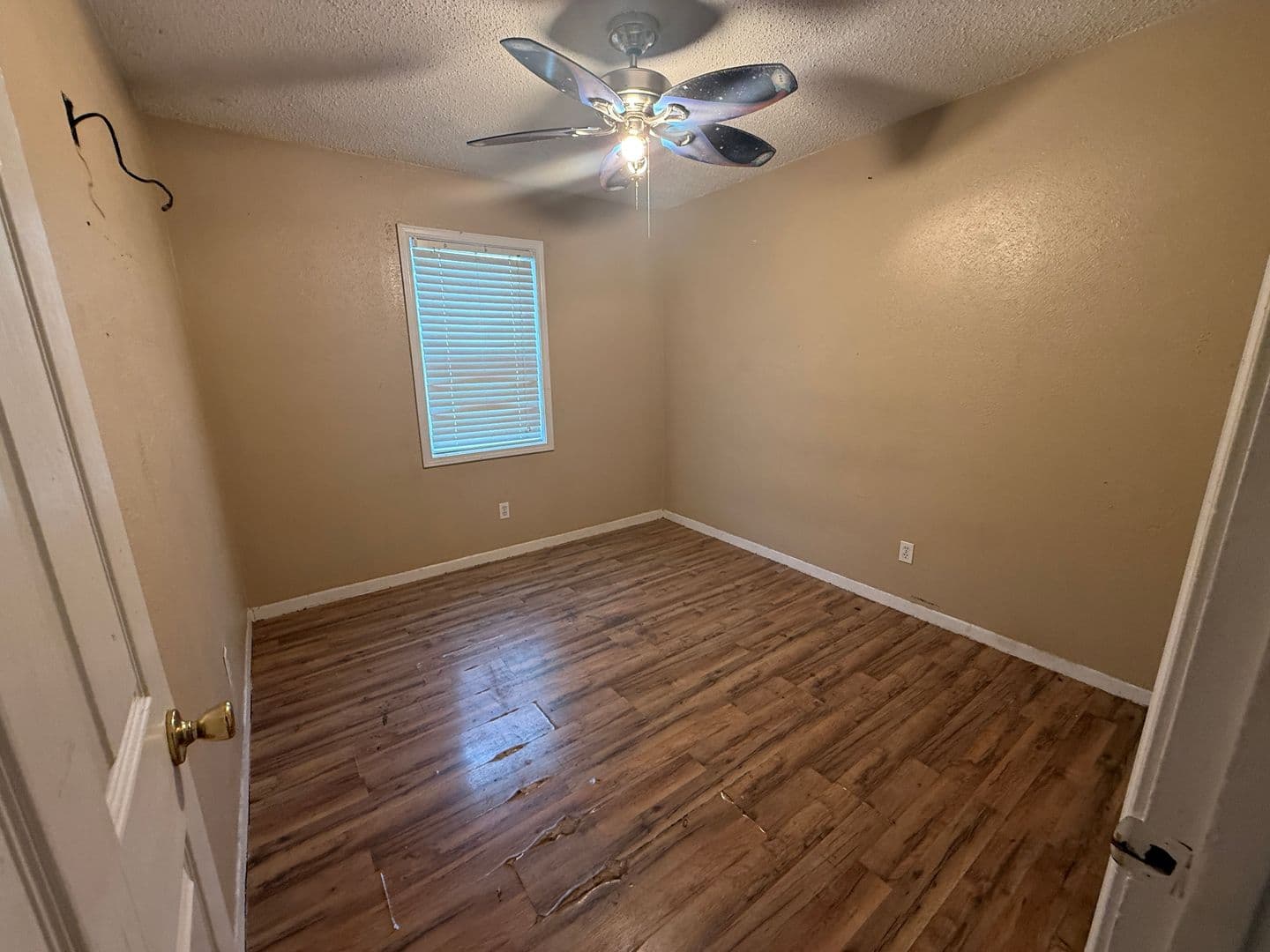 Bossier City House: 1219 Gladiolus
