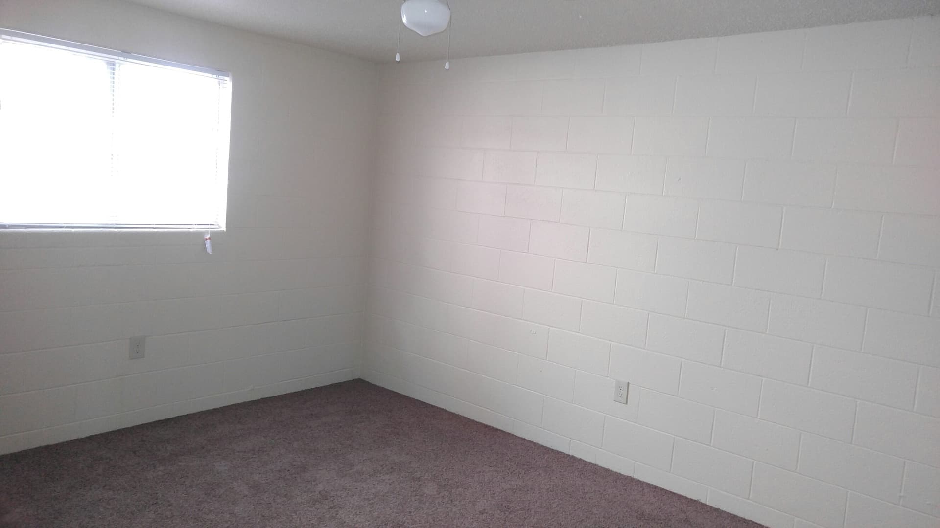 Reno Apartment: 485 Linden St