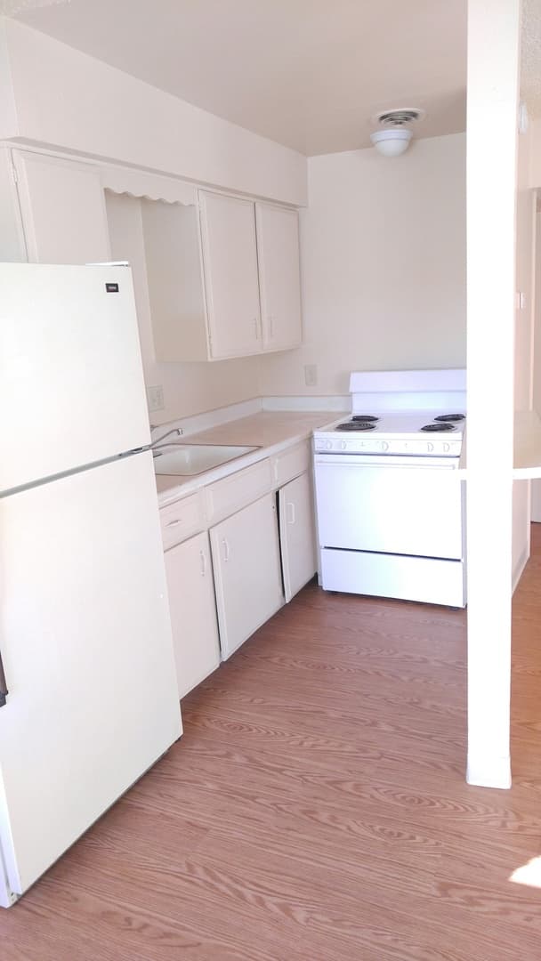 Reno Apartment: 485 Linden St