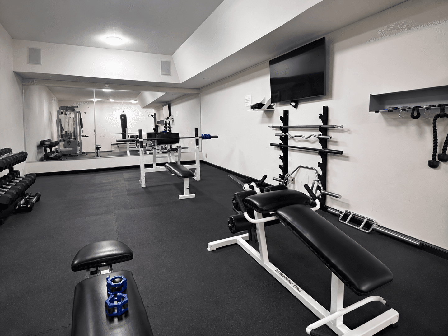 Alameda Condo: 2101 Shoreline Dr #348