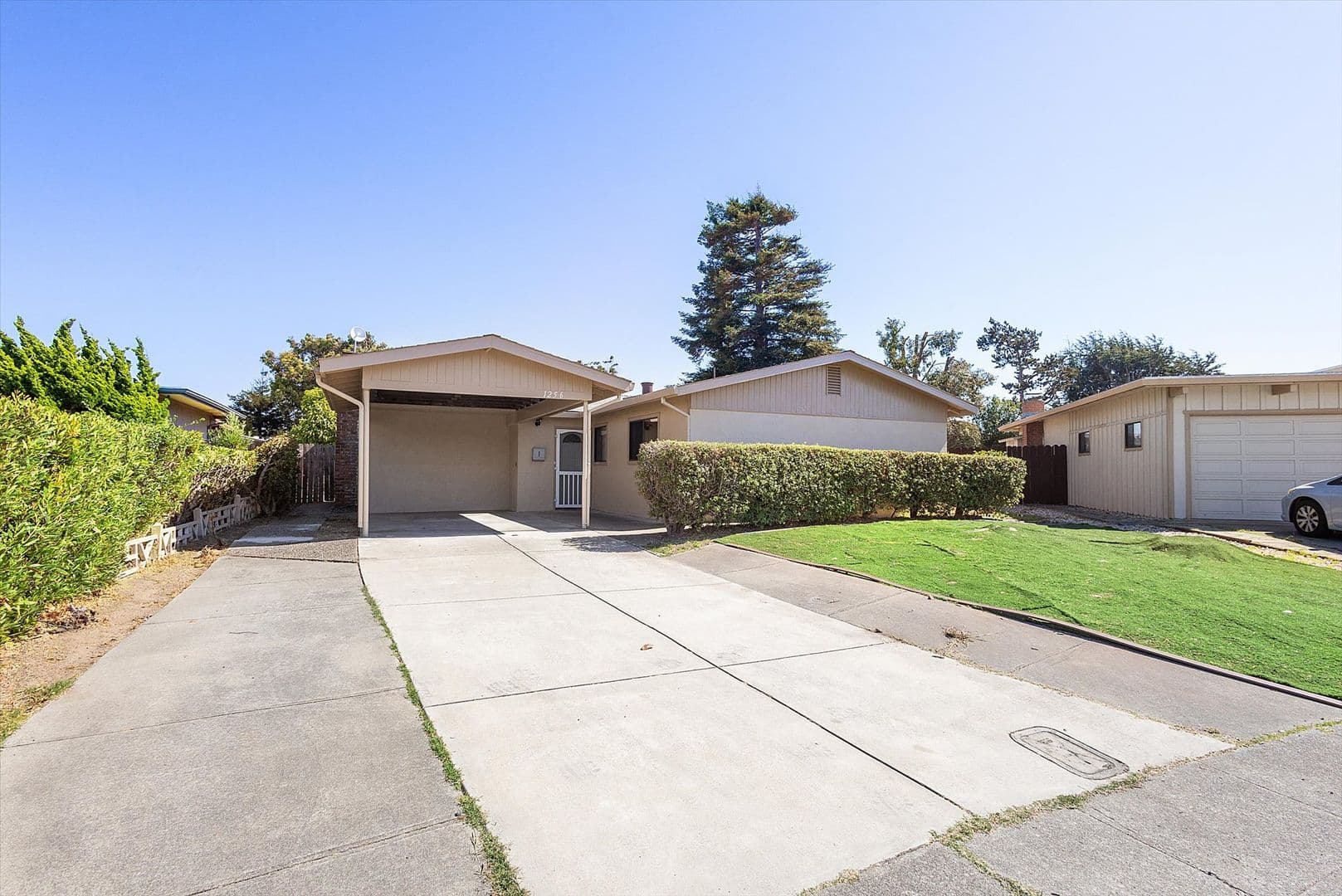 Alameda House: 1256 Rosewood Way