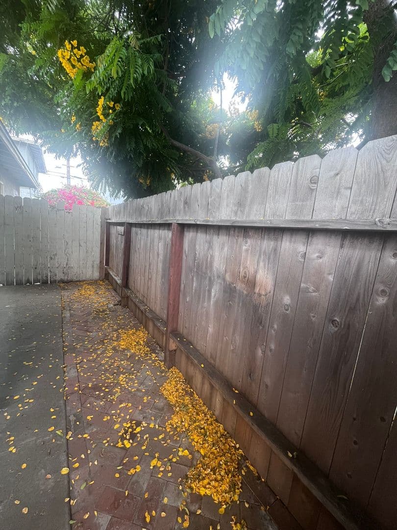 Ocean Beach Apartment: 5057-5071 Lotus Street