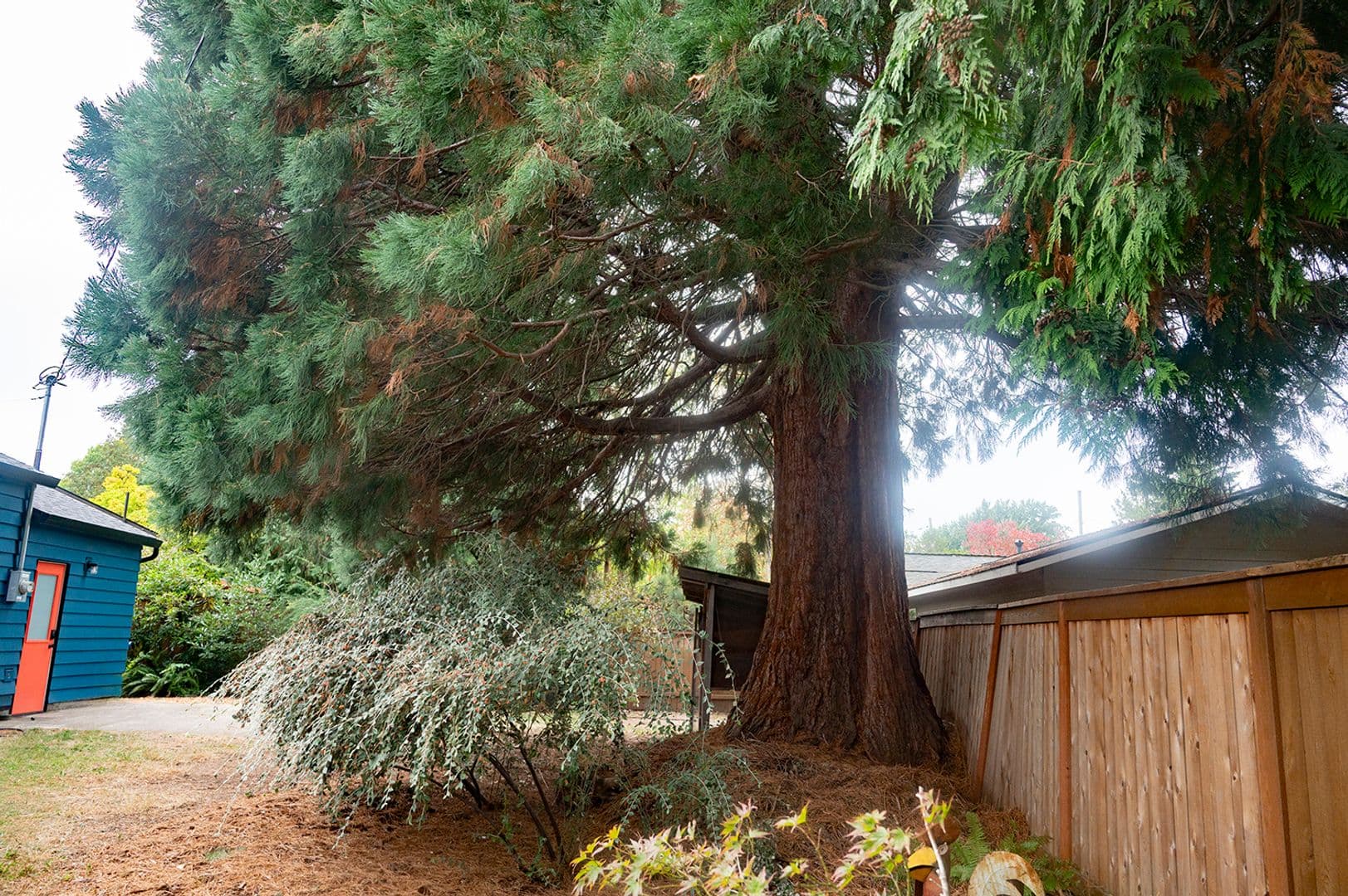 Portland House: 2925 SE 64th Ave