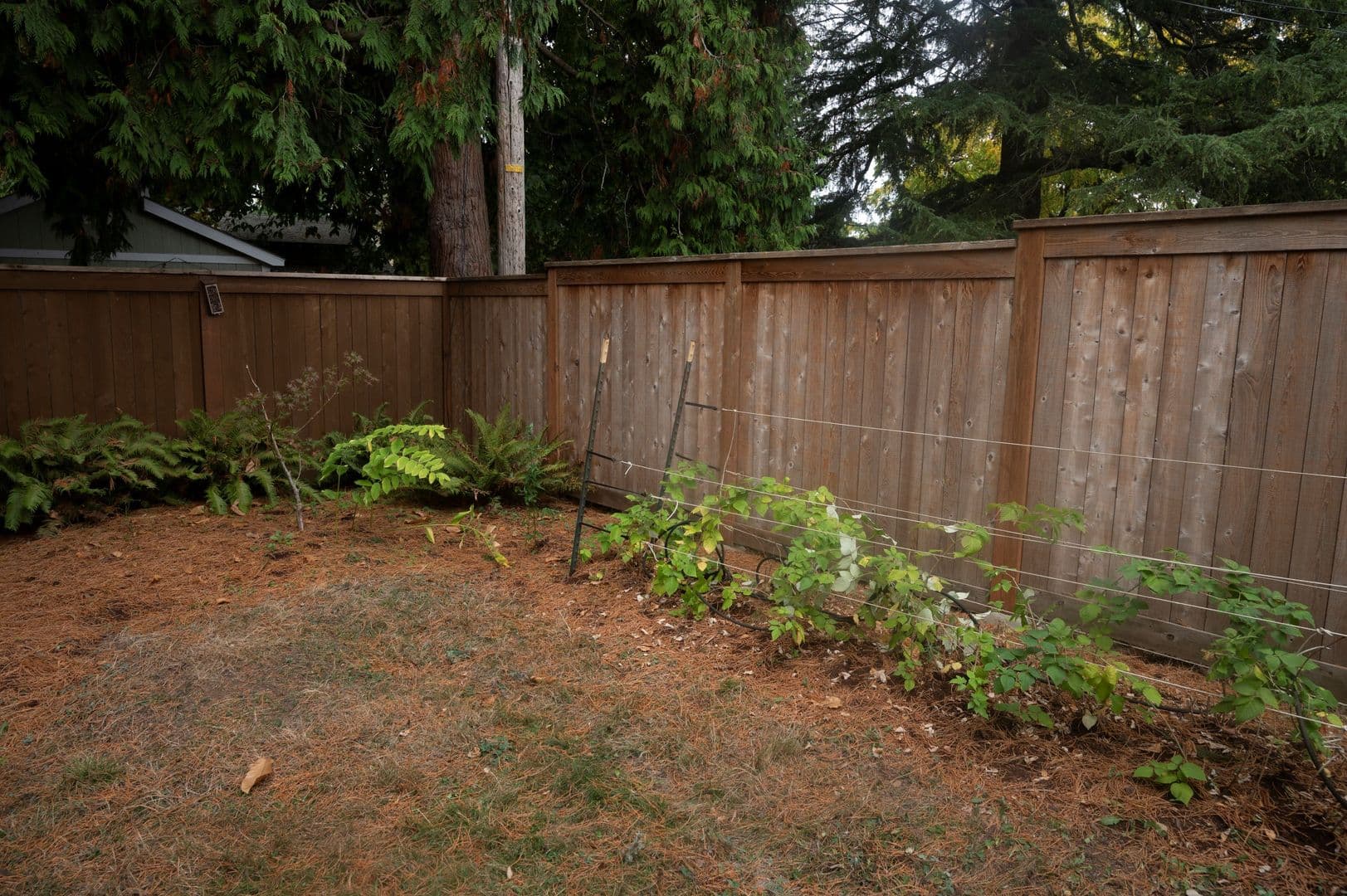 Portland House: 2925 SE 64th Ave