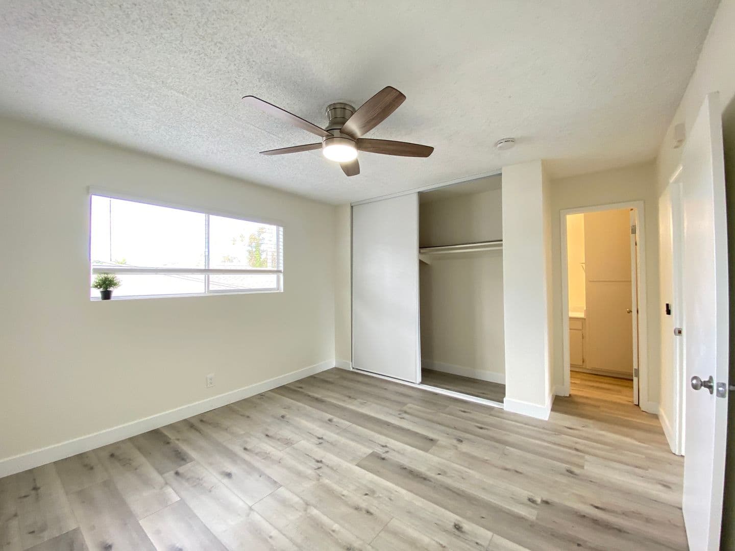 Carlsbad Apartment: 2664 Jefferson St