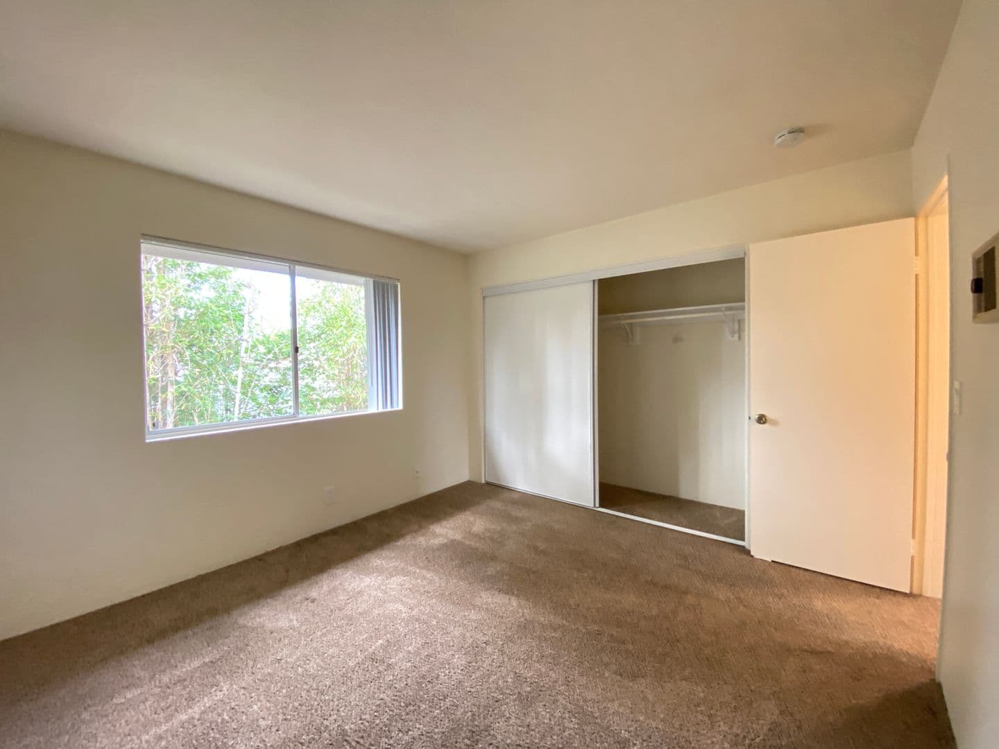 Carlsbad Apartment: 237 - 239 Tamarack Ave.