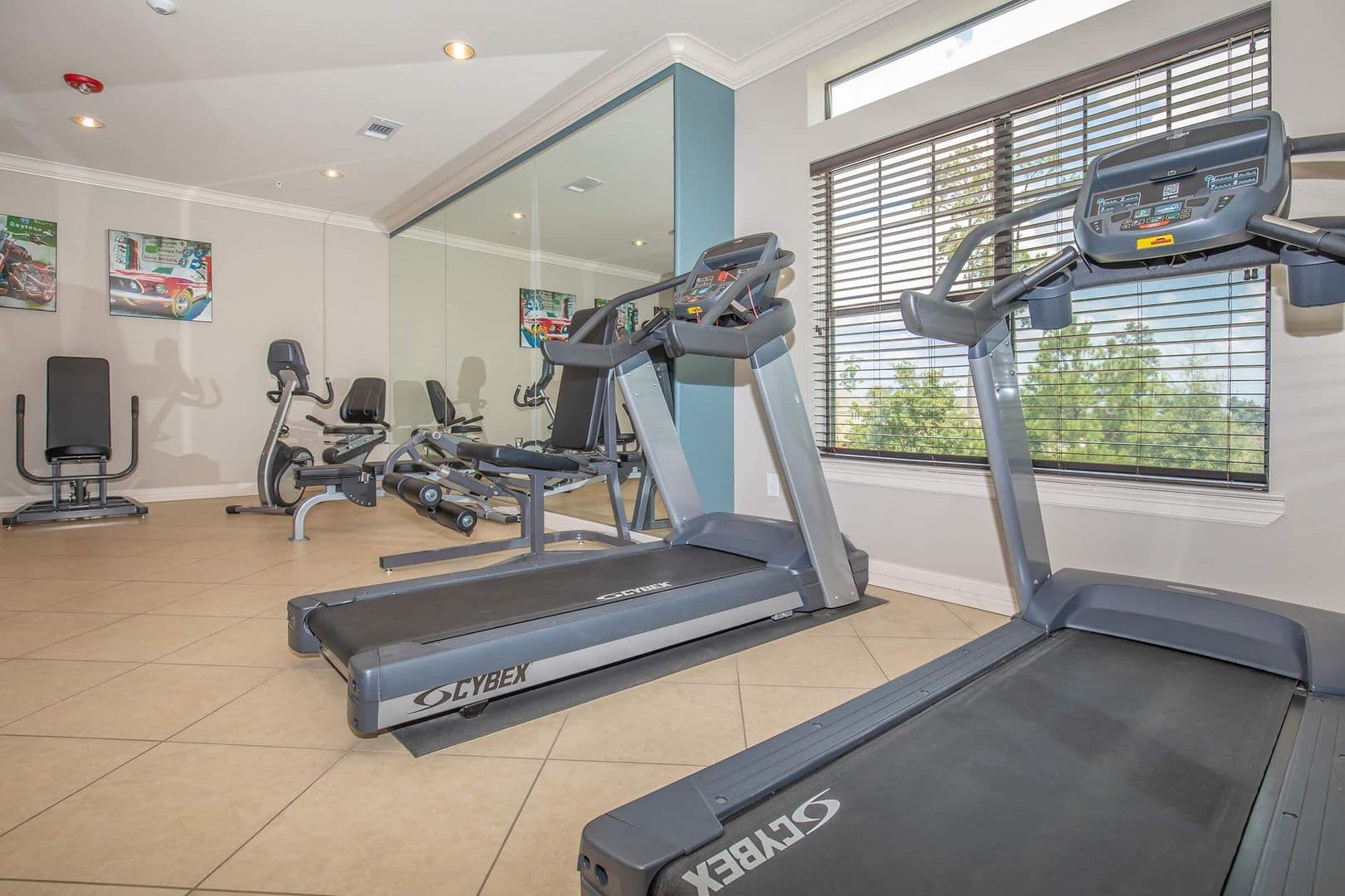 Shenandoah Apartment: 1018 Wellman Road