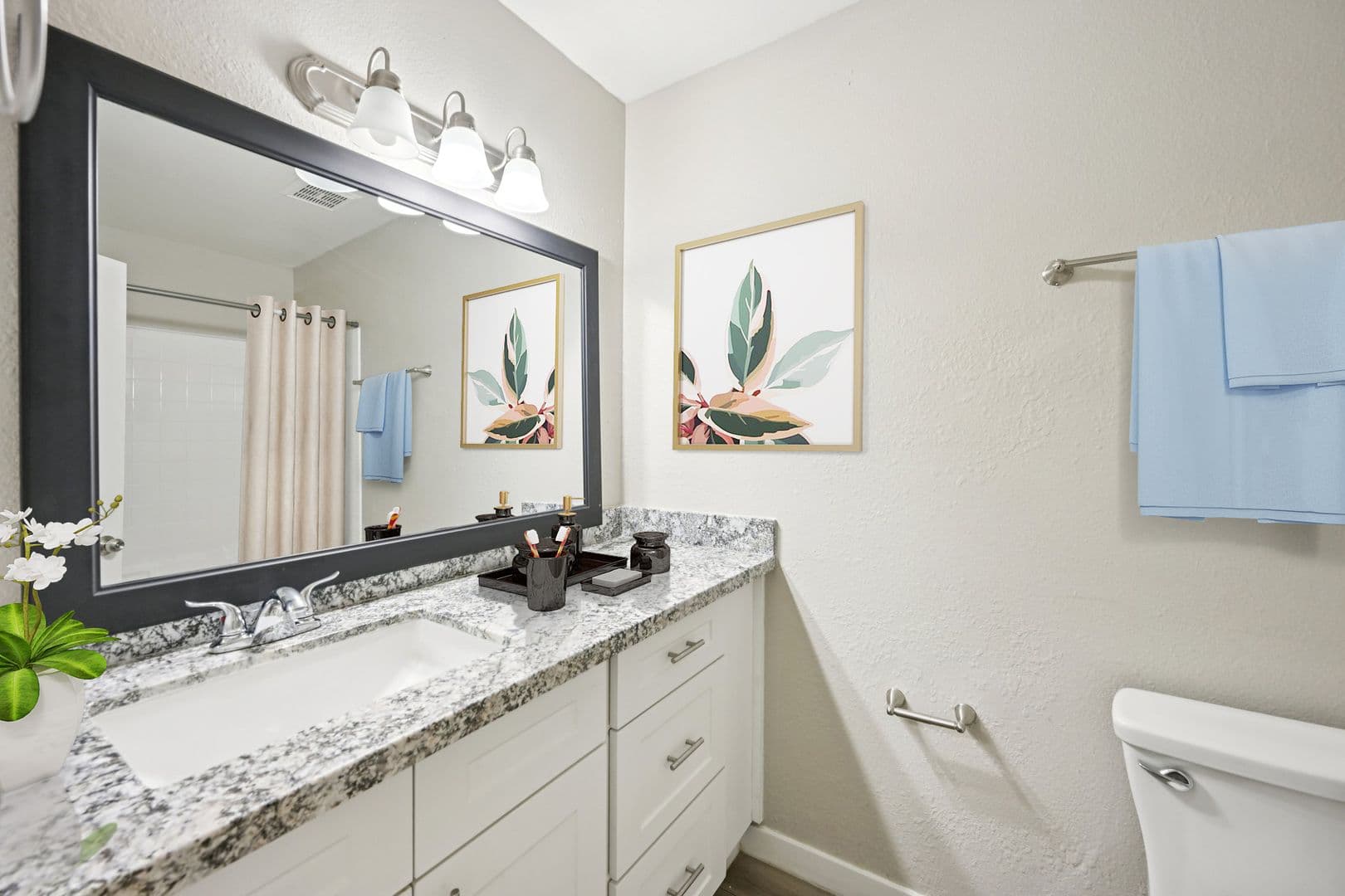 Phoenix Apartment: 17625 N 7th St.