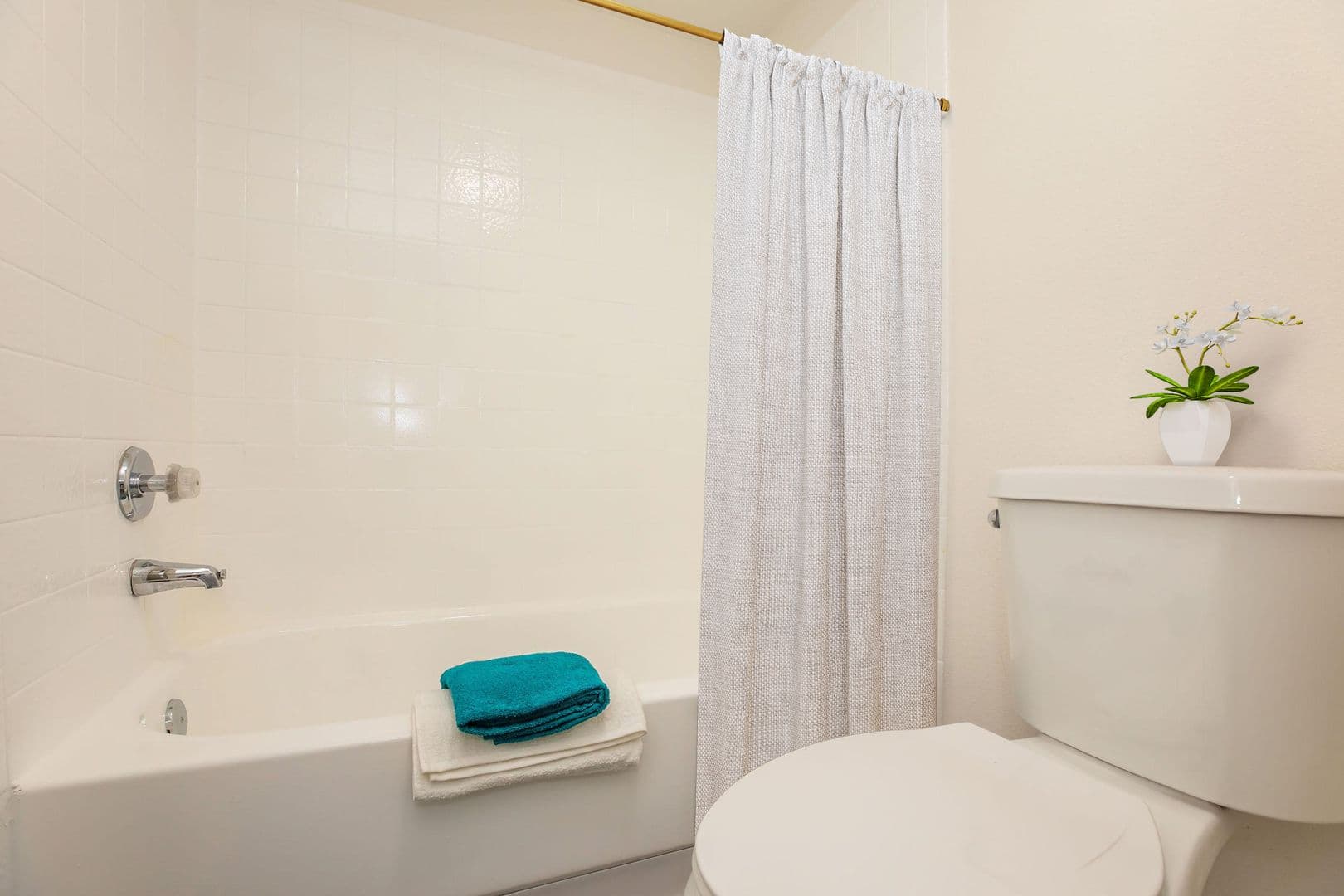 Phoenix Apartment: 1901 E. Osborn RD
