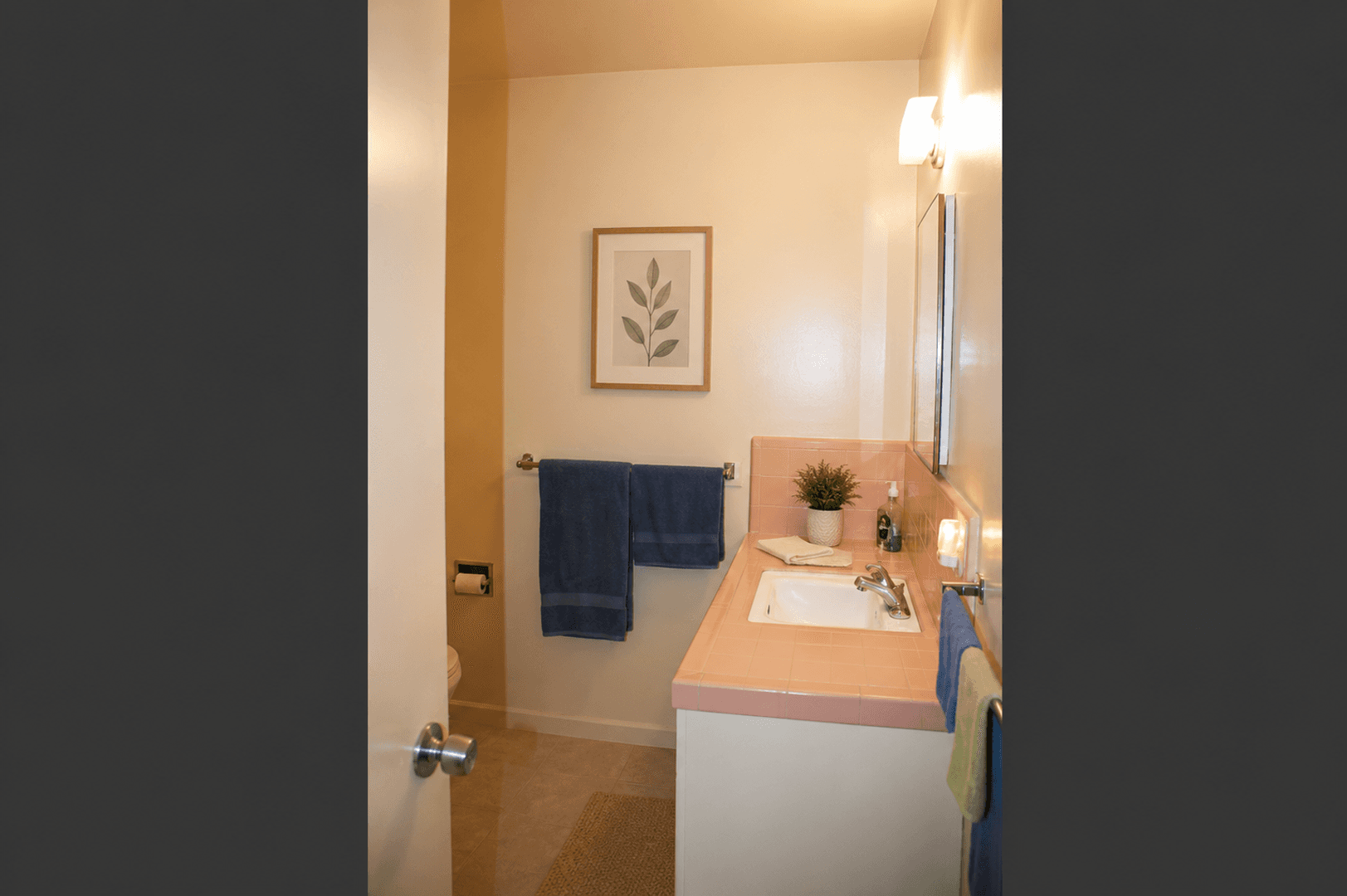 Fresno Apartment: 1247 E Vassar Ave