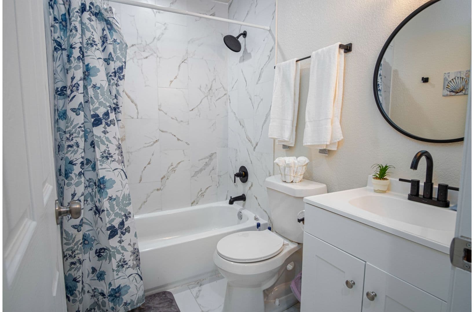 San Antonio Apartment: 241 Delmar Street