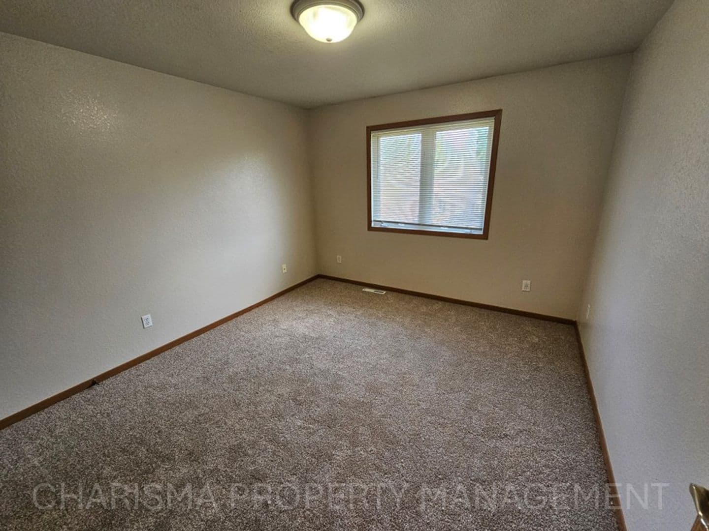 Tea Apartment: 340 N Main Ave #11