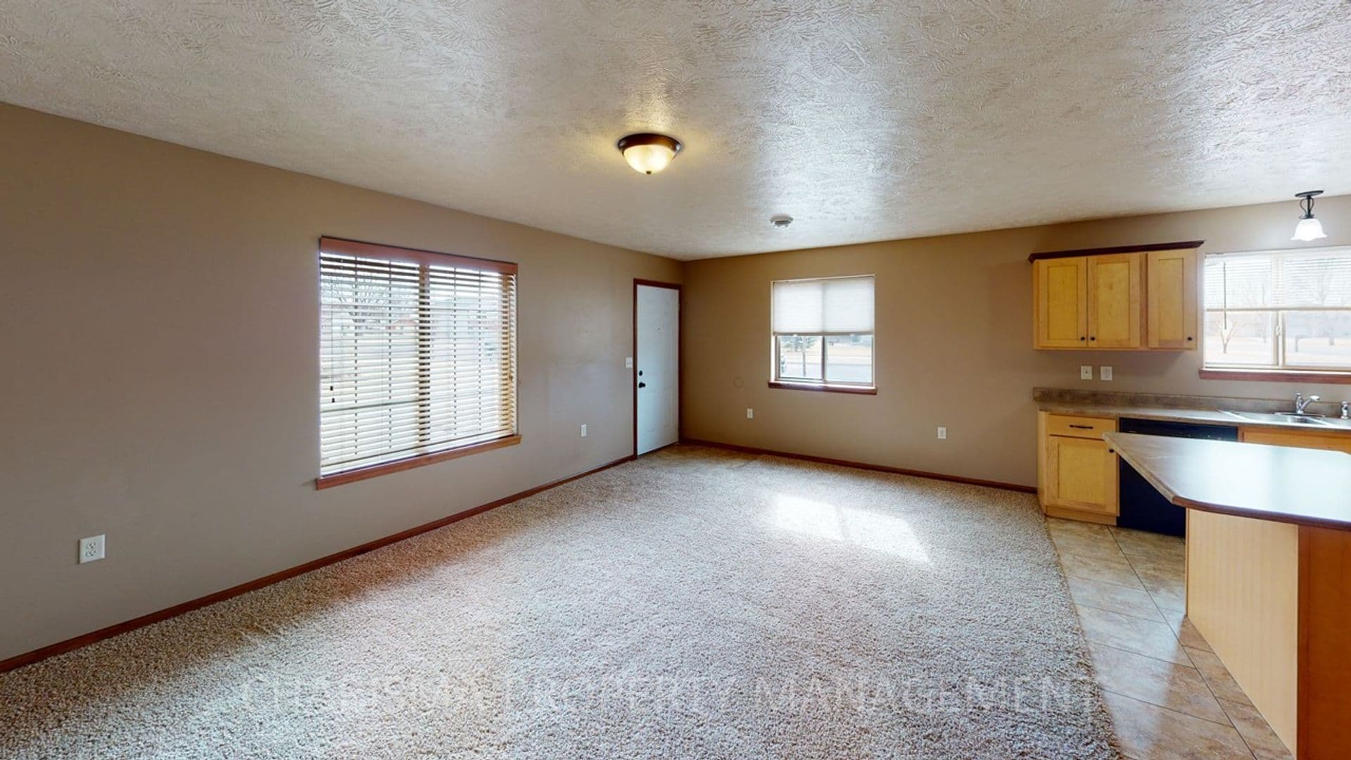 Tea Apartment: 211, 221 & 231 W 4th Street