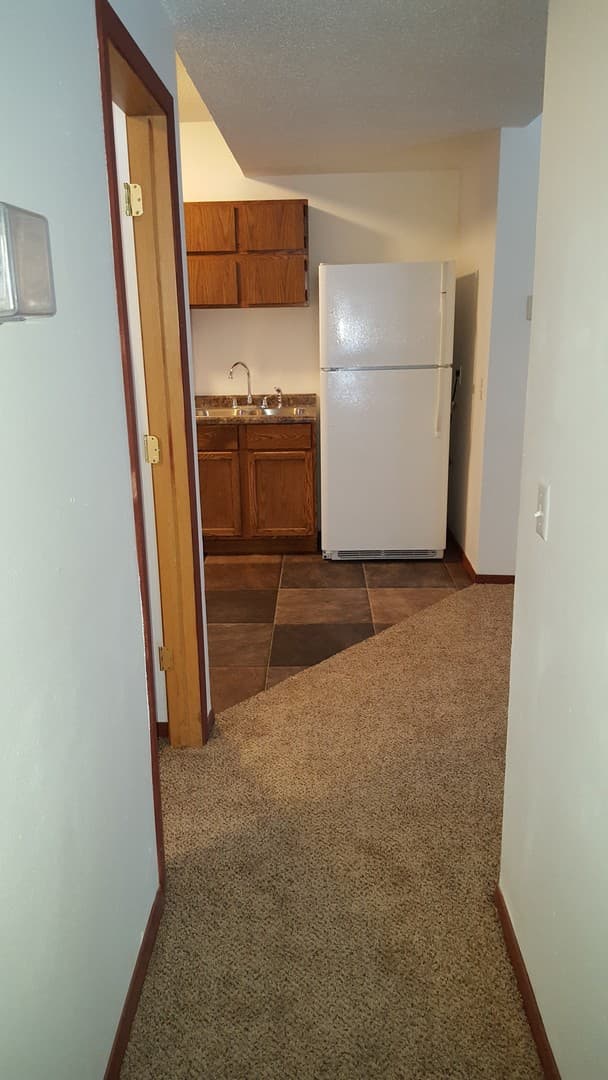 Sioux Falls Apartment: 209 S Lake Ave #2