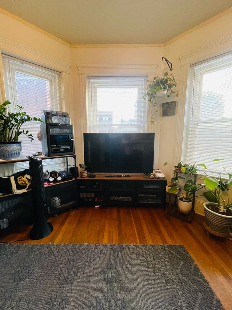 Boston Apartment: 11 Tetlow St
