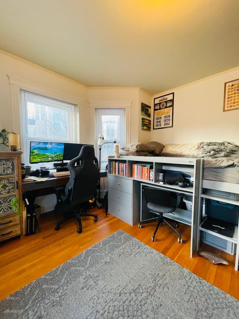 Boston Apartment: 11 Tetlow St