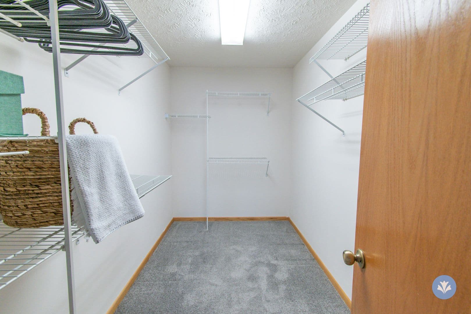 Lincoln Apartment: Alena Court