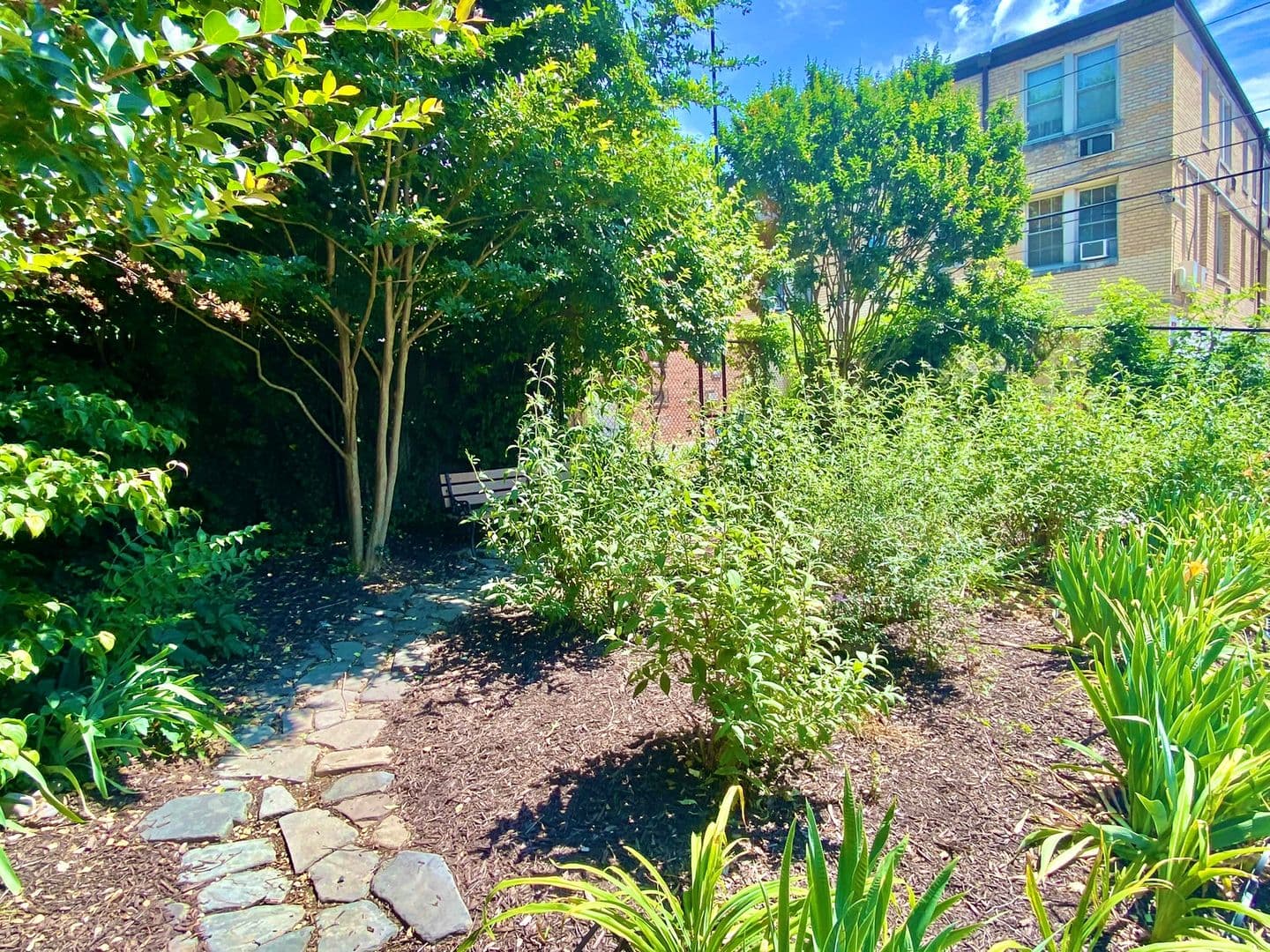 Washington Condo: 3028 Wisconsin Ave NW #106