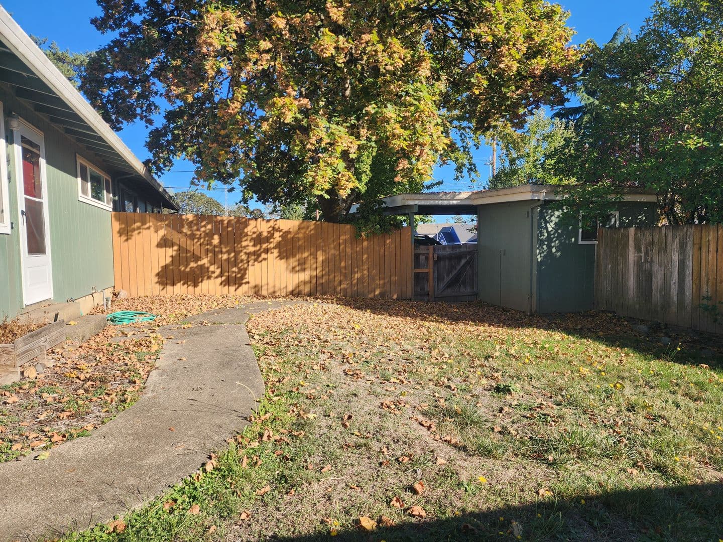 Dundee Apartment: Ione Street 4 Plex