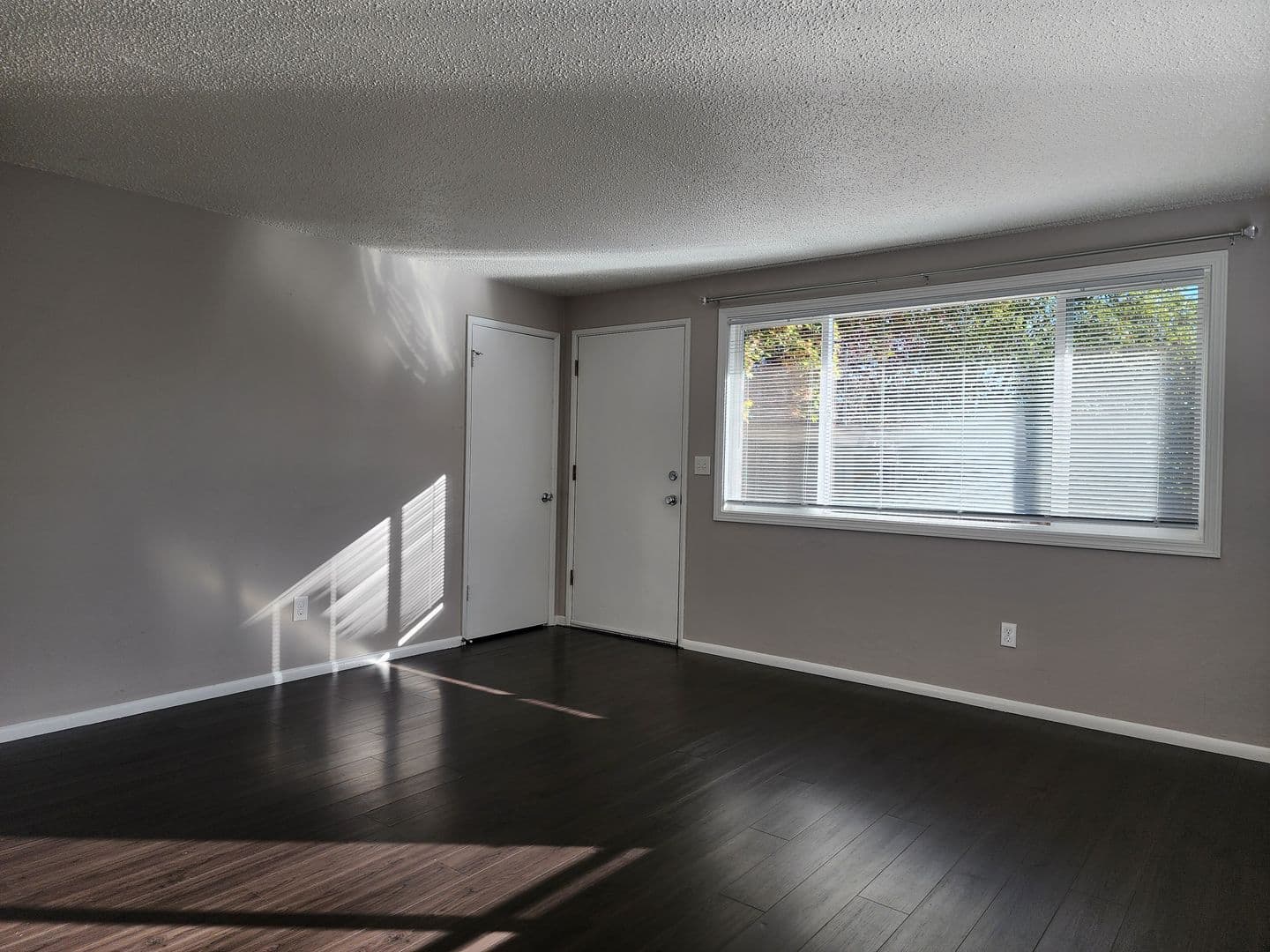 Dundee Apartment: Ione Street 4 Plex