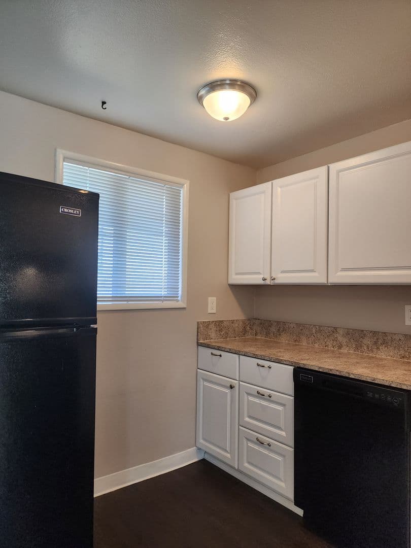 Dundee Apartment: Ione Street 4 Plex