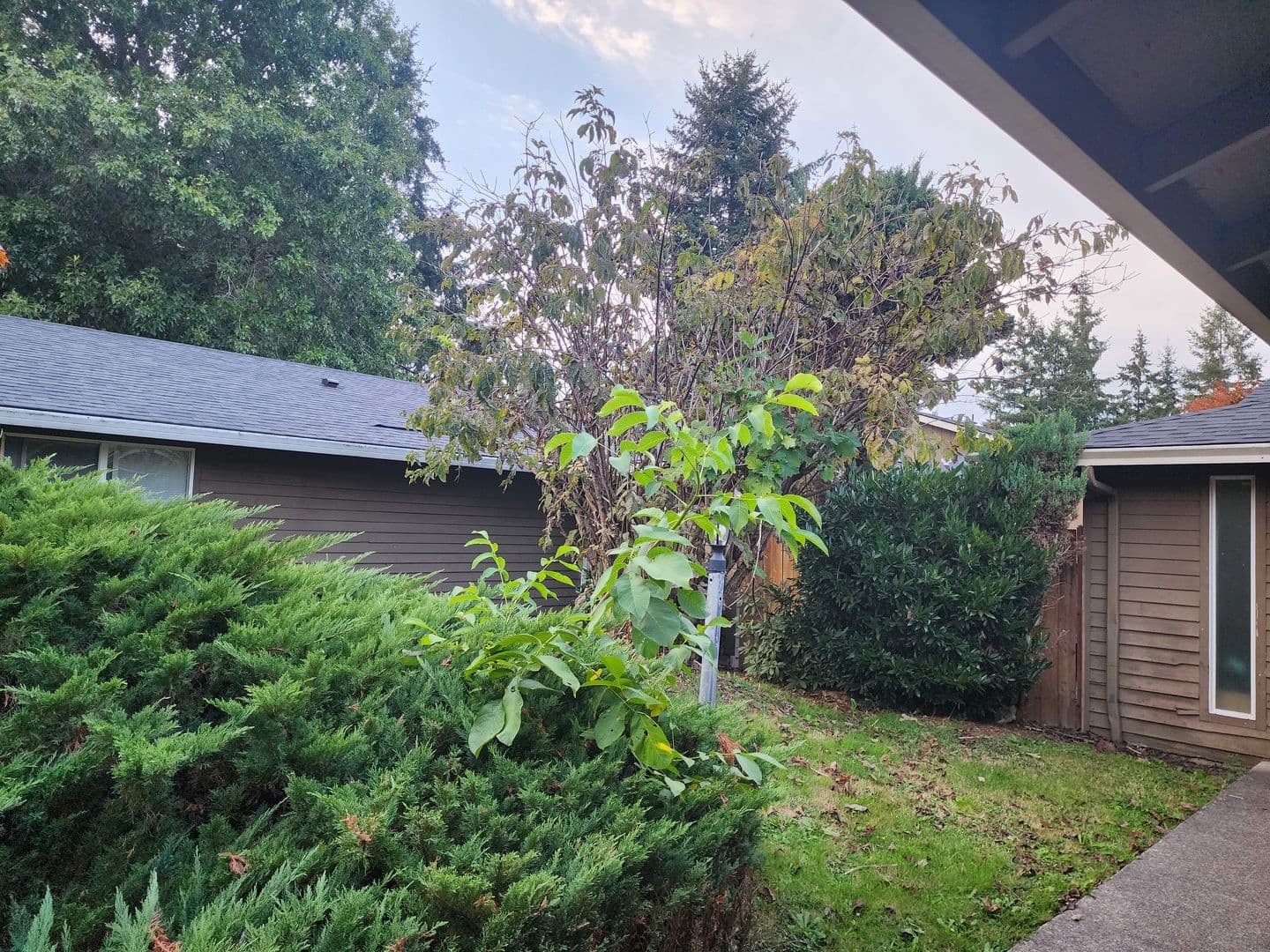 Wilsonville Multiplex: 10515 SW Tranquil Way