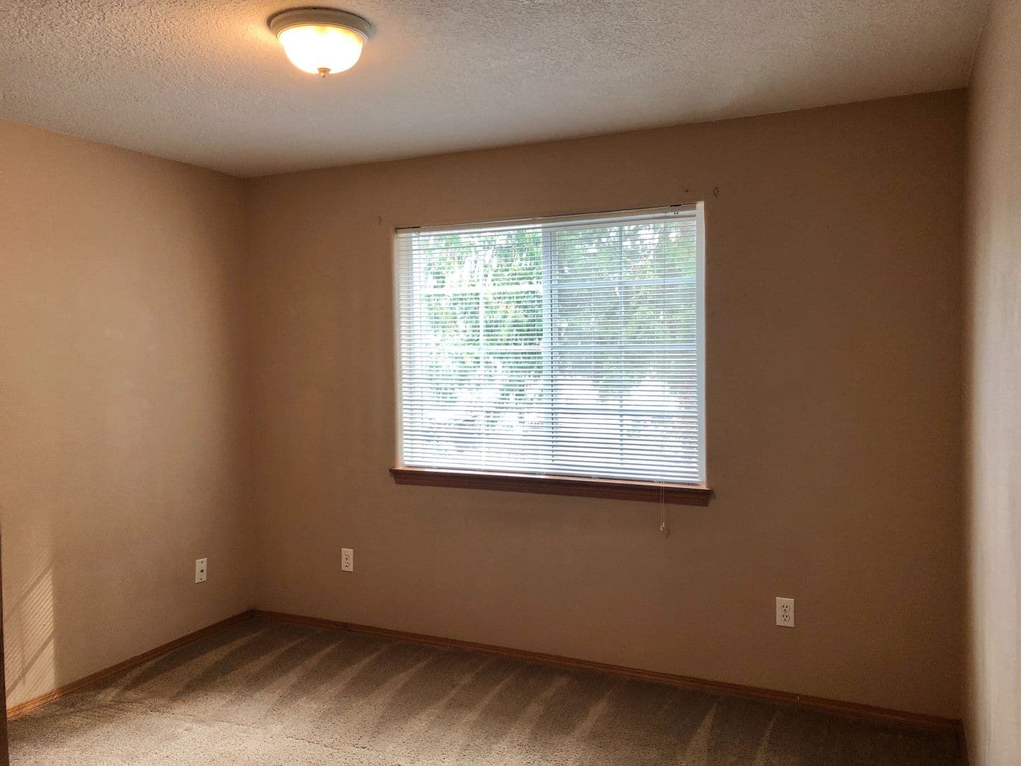 Dundee Apartment: 270 SE Edwards St.