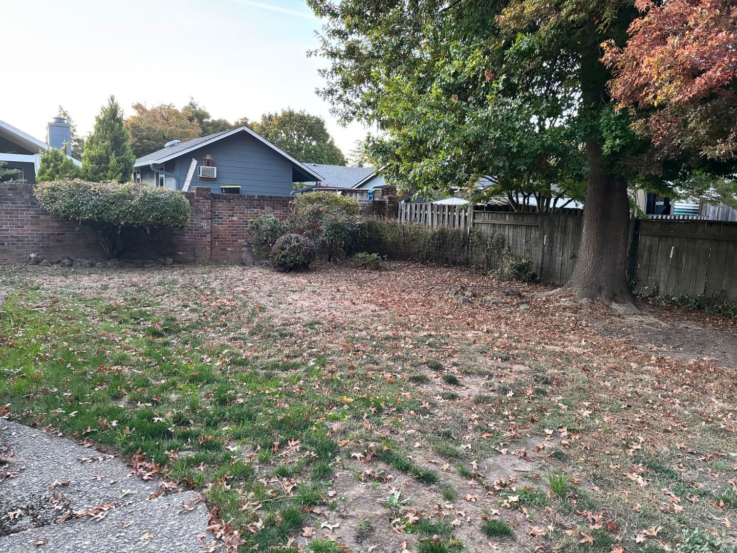 Newberg House: 3007 Douglas Ave