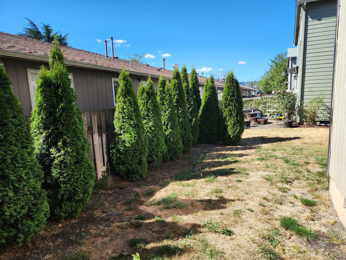 Newberg Multiplex: 929 S School St